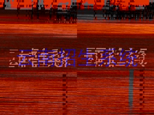 云南招生系统