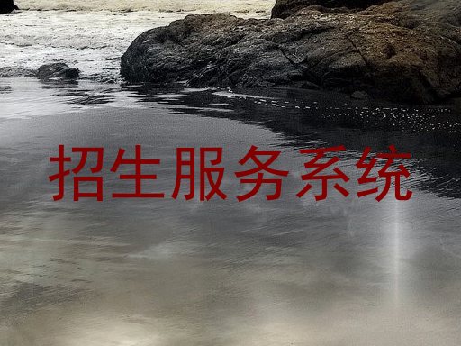 招生服务系统
