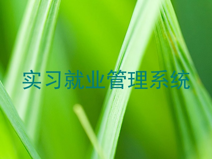 實(shí)習(xí)就業(yè)管理系統(tǒng)