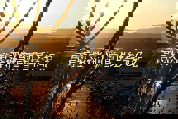 高校科研管理系统