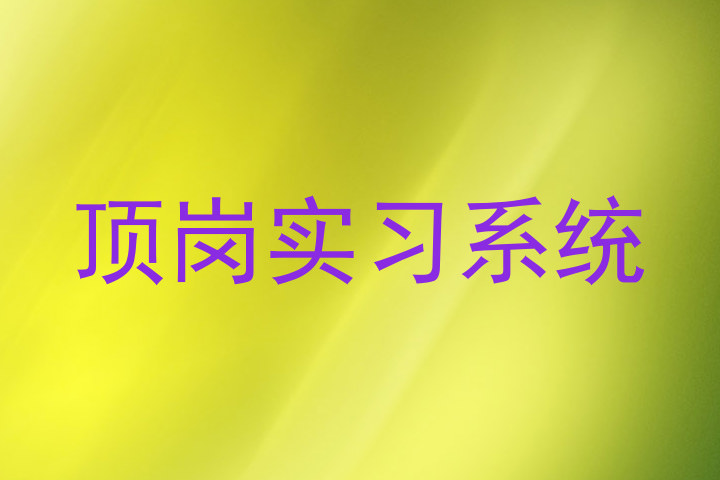 顶岗实习系统
