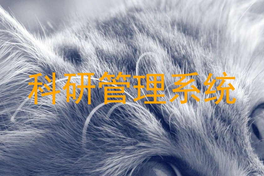 科研管理系统
