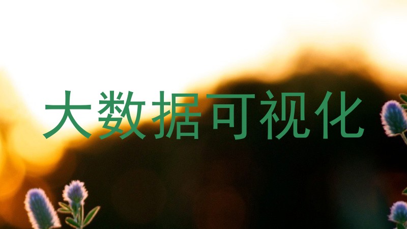 大数据可视化