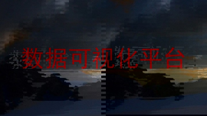 数据可视化平台