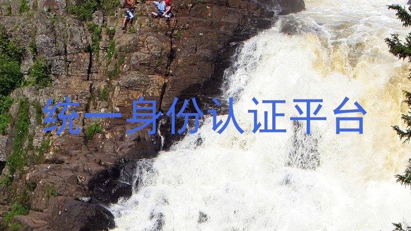 统一身份认证平台