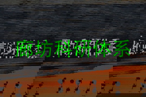 廊坊科研体系