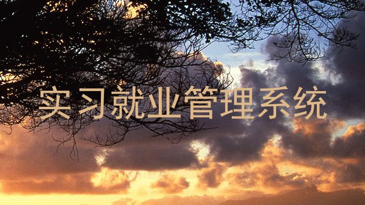 实习就业管理系统