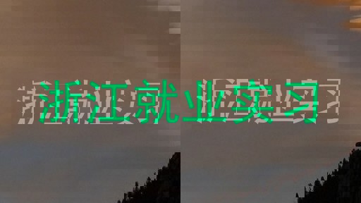 浙江就业实习
