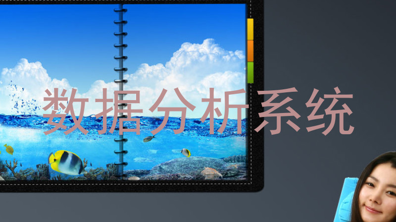 数据分析系统