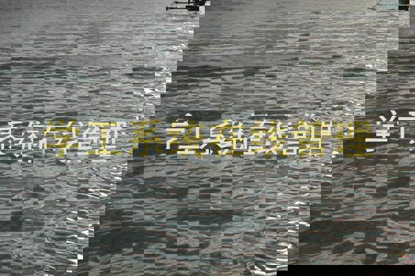 学工系统在线管理