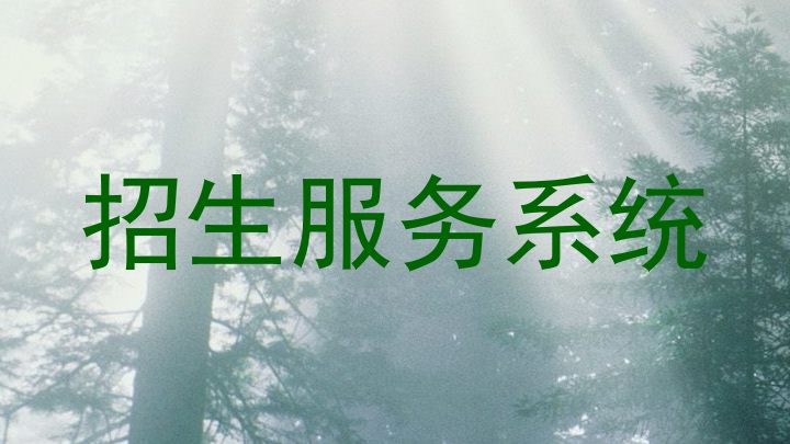 招生服务系统