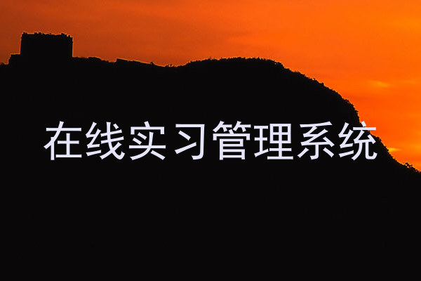 在线实习管理系统