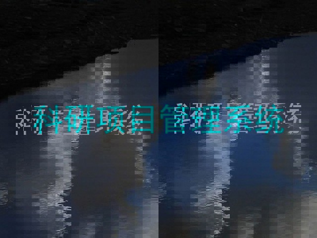 科研项目管理系统