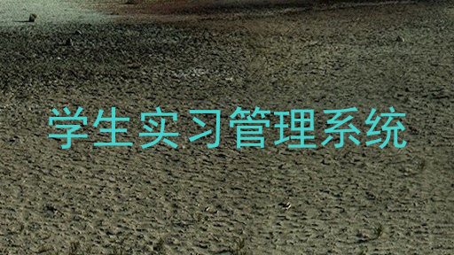 学生实习管理系统