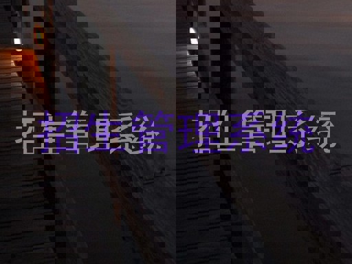 招生管理系统