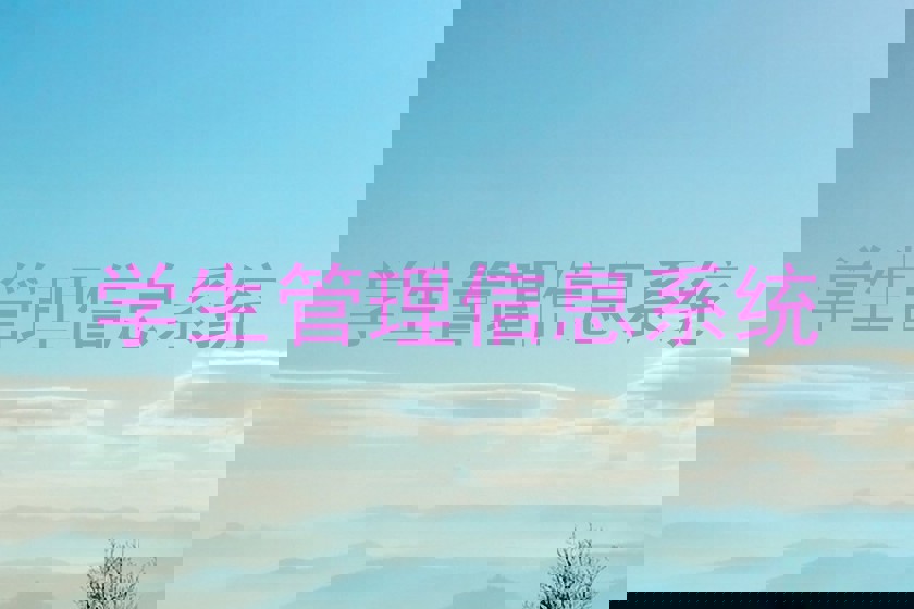 学生管理信息系统