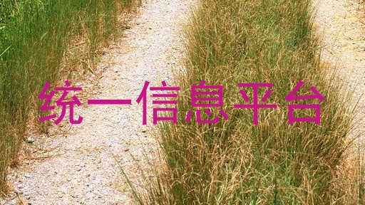 統(tǒng)一信息平臺