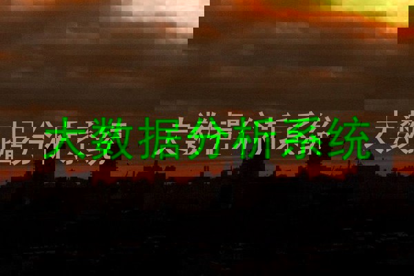 大数据分析系统