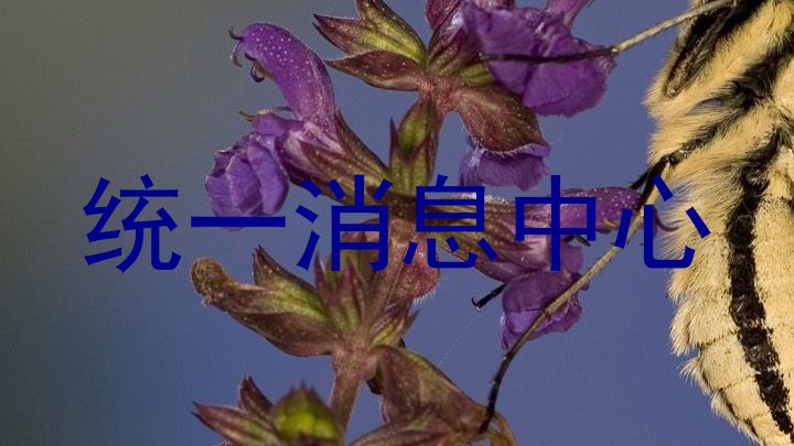 统一消息中心