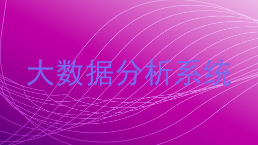 大数据分析系统