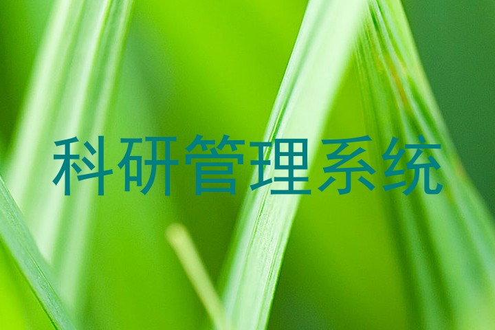 科研管理系统