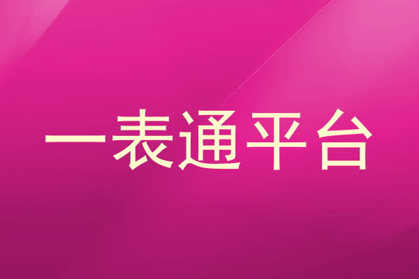 一表通平台