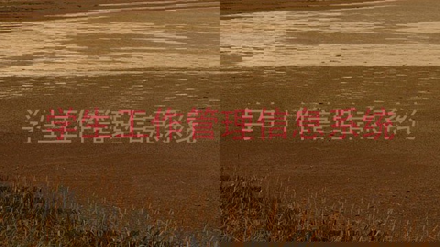 学生工作管理信息系统