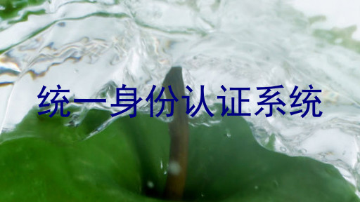 统一身份认证系统