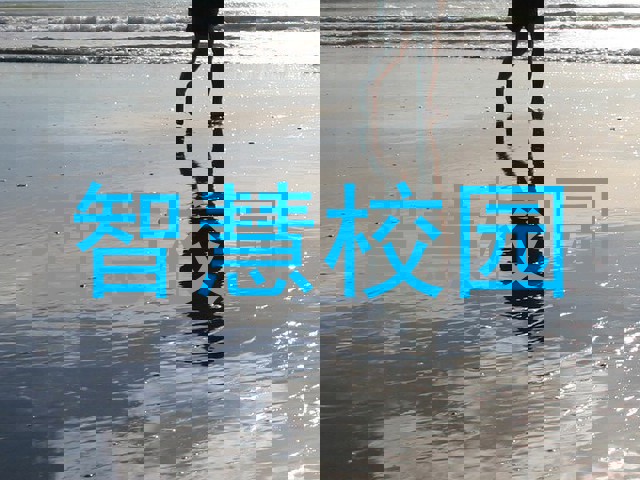 智慧校园