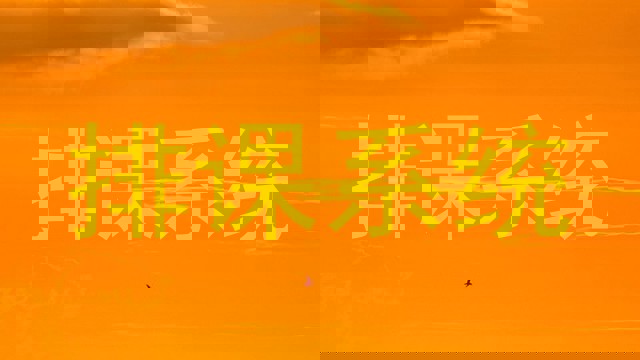 排课系统