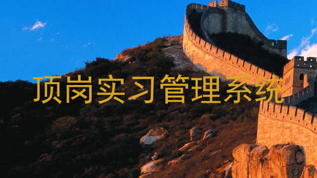 顶岗实习管理系统