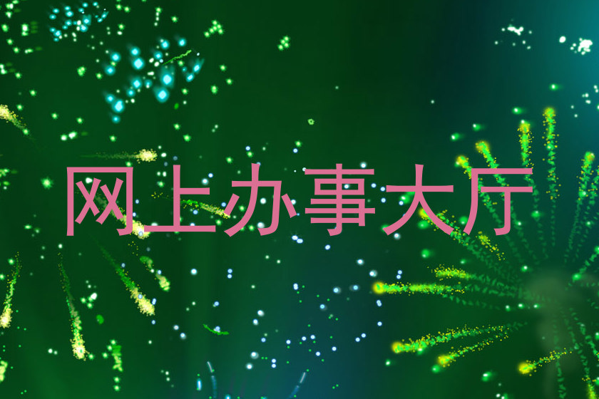 网上办事大厅