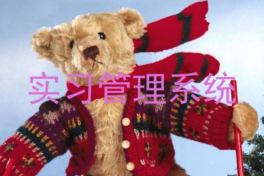 实习管理系统