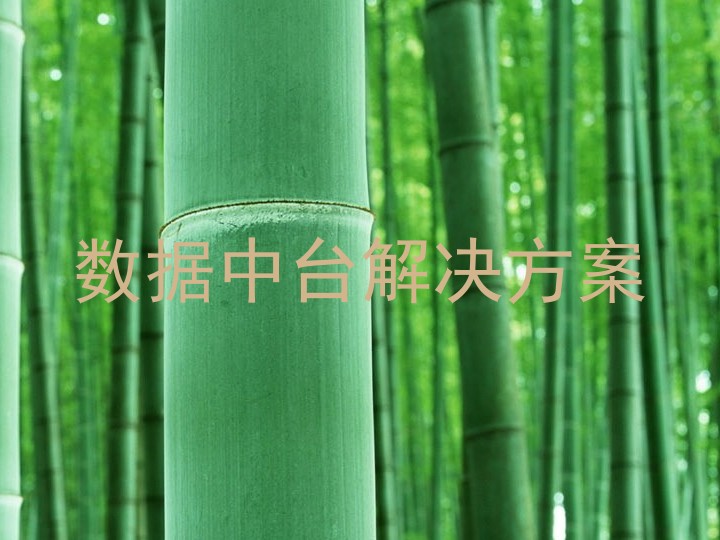 数据中台解决方案