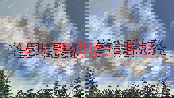 学生管理信息系统