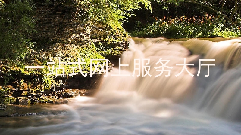 一站式网上服务大厅