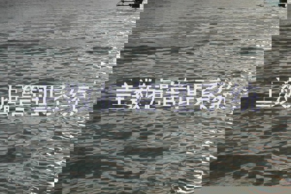 主数据管理系统