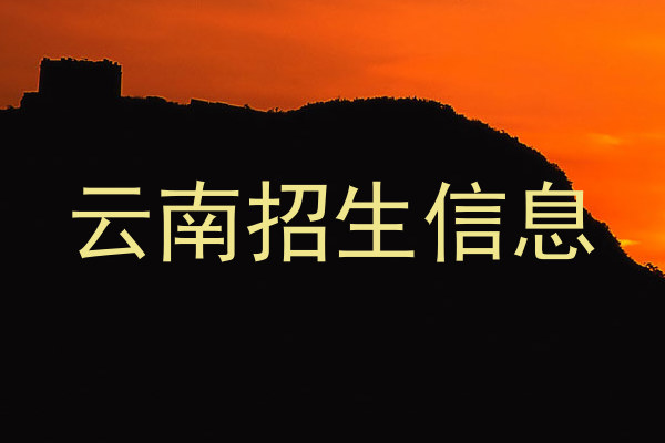 云南招生信息
