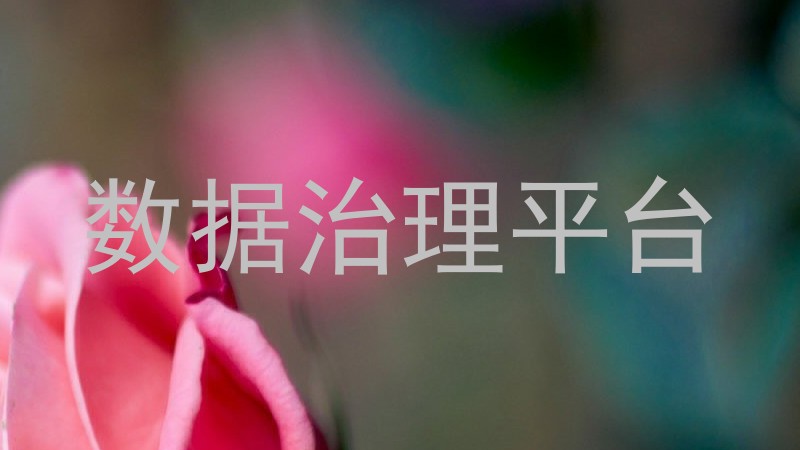 数据治理平台