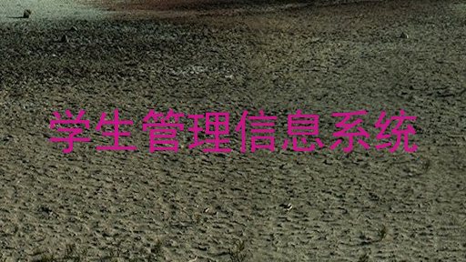 学生管理信息系统