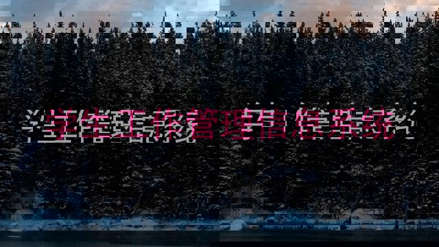 学生工作管理信息系统