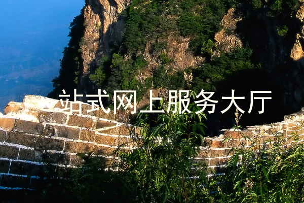 一站式网上服务大厅