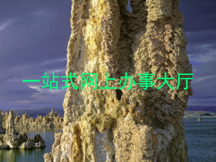 一站式网上办事大厅