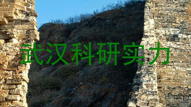 武汉科研实力