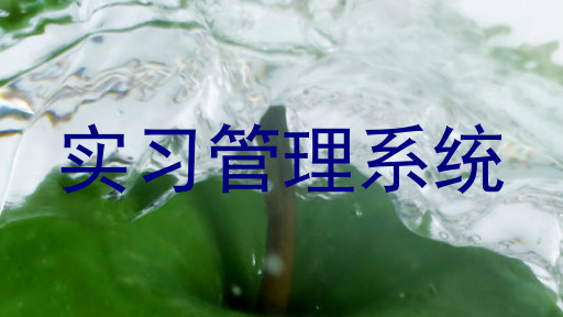 实习管理系统