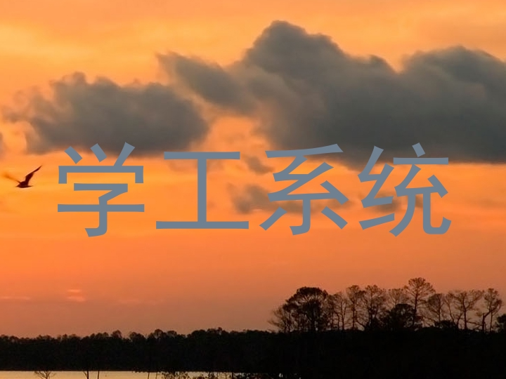 学工系统