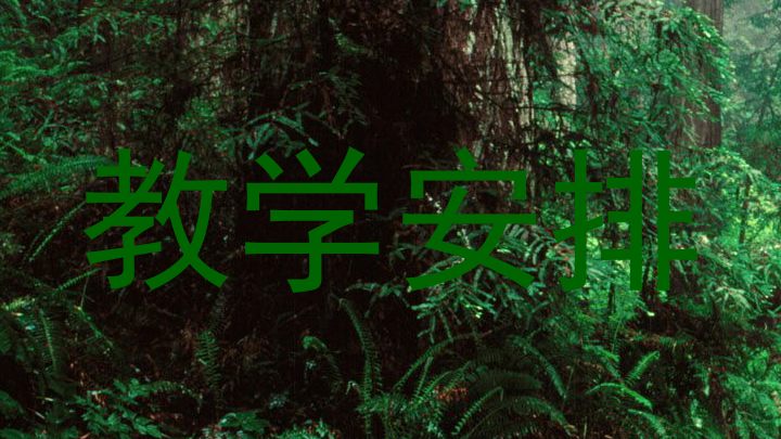 教学安排