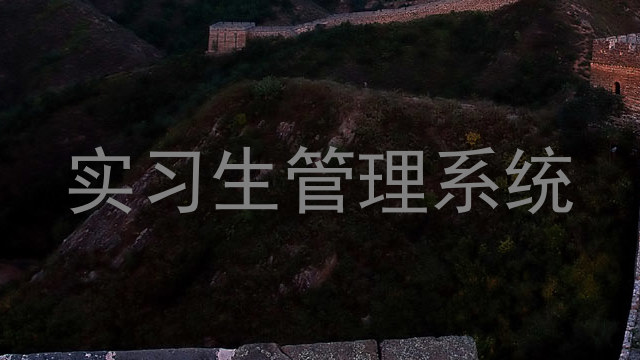 实习生管理系统