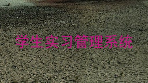 学生实习管理系统