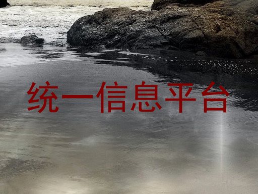 統(tǒng)一信息平臺(tái)